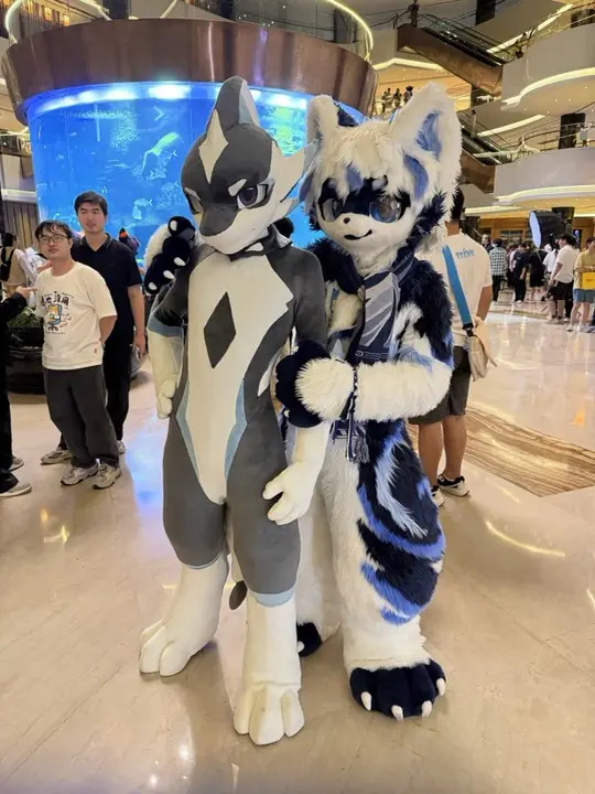 你好兽聚 2D41CFC5-4040-4803-8766-3154B8BFB2D3_L0_001_1777949853.593797_o_IMG_9701