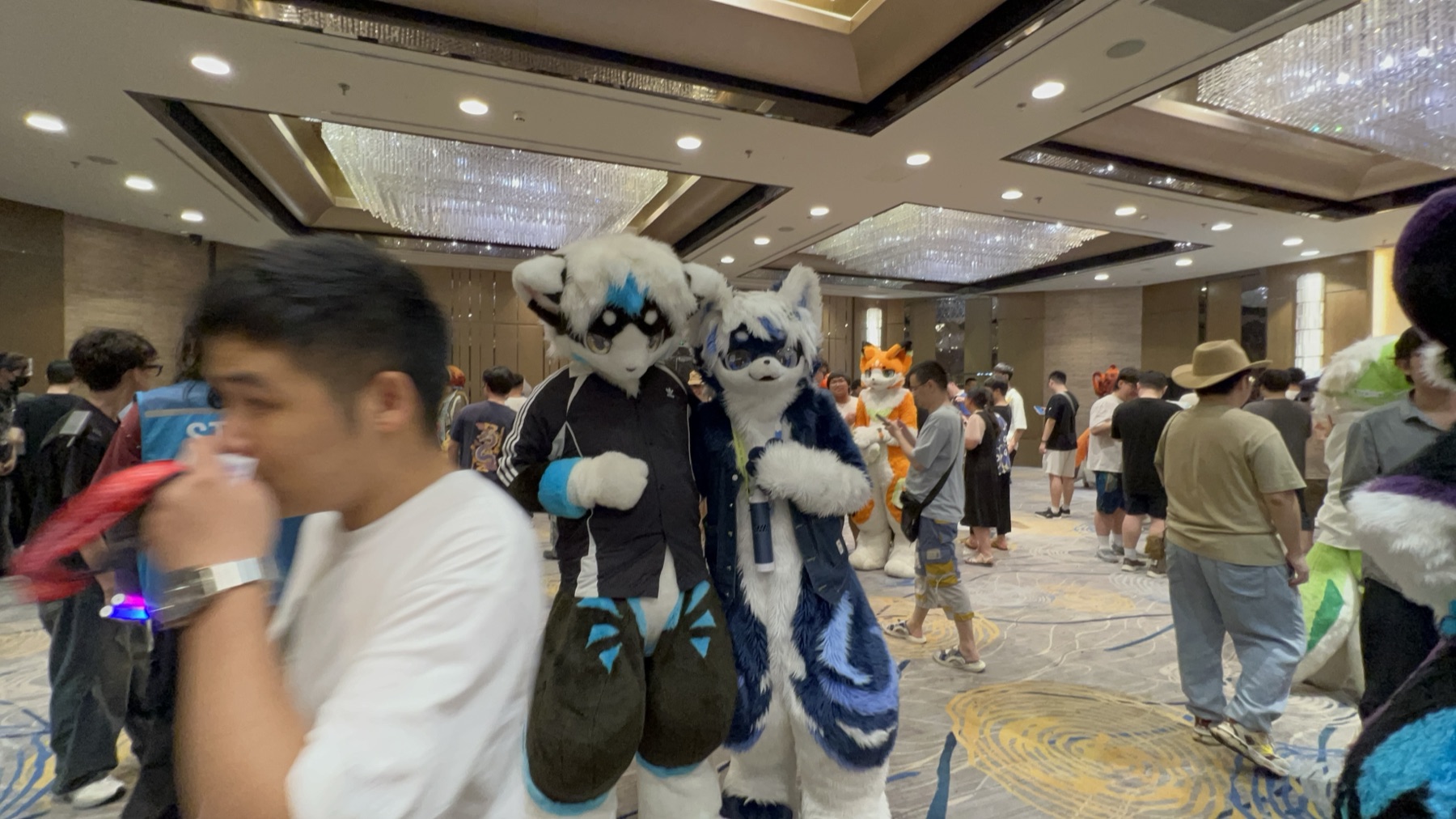极兽聚 019
