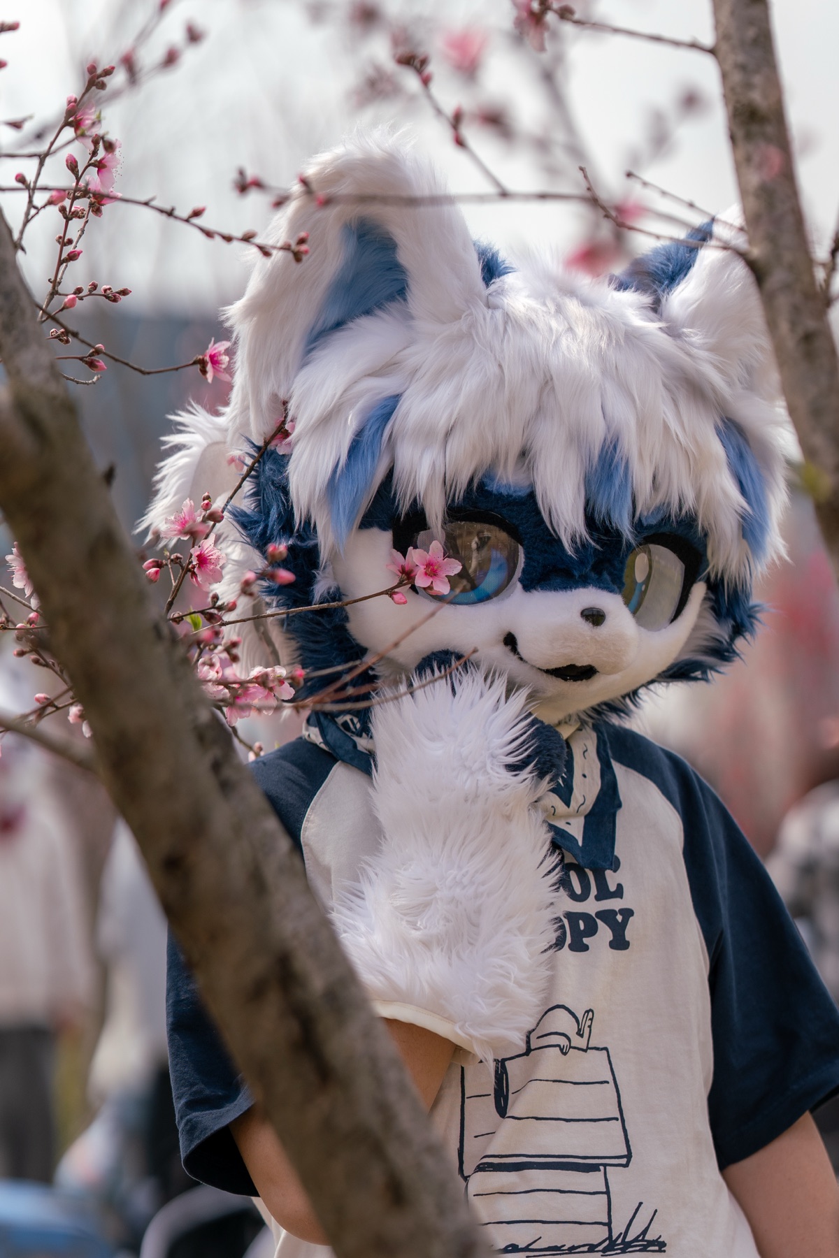 桃花湖小聚 DSC01165