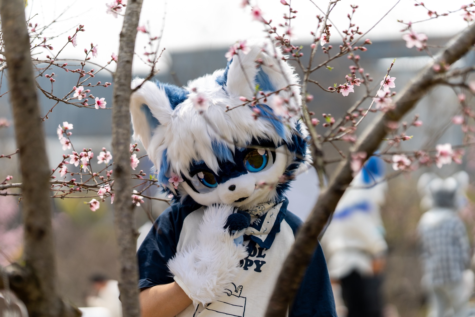 桃花湖小聚 DSC01167